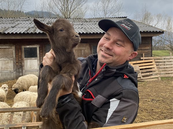 Doru, at the farm